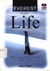 Image of Everest in your life