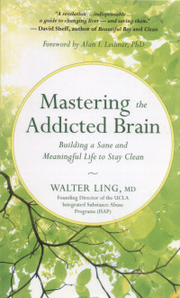 Image of Mastering the Addicted Brain : Building a Sane and Meaningful Life to Stay Clean