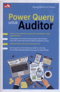 Image of Power Query untuk Auditor
