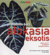 Image of Primadona Baru Alokasia Eksotis