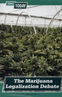 Image of The marijuana legalization debate